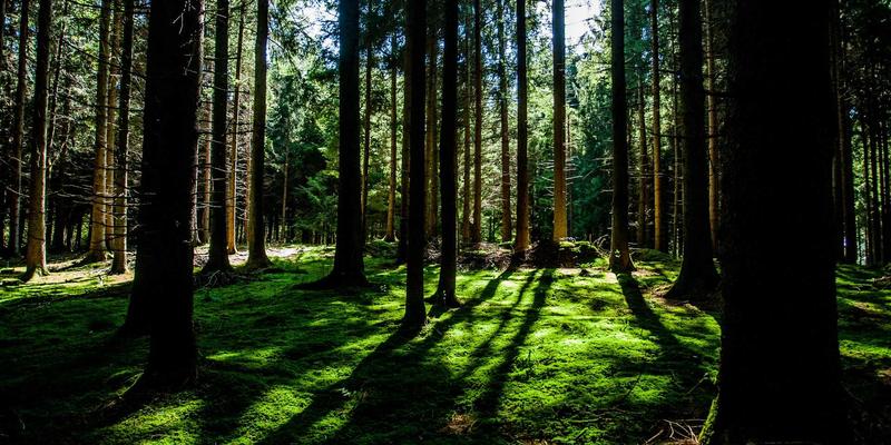 数字化转型浪潮下的采购新体验：深度评测西安北二环等大型批发市场线上平台，聚焦安国蔬菜与西安农产品