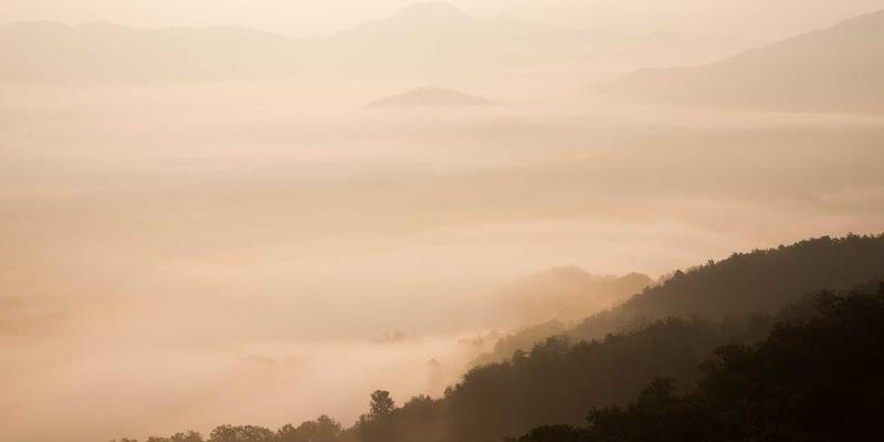 西安中小型超市便利店蔬菜采购全攻略：三大批发市场与专业蔬菜配送指南