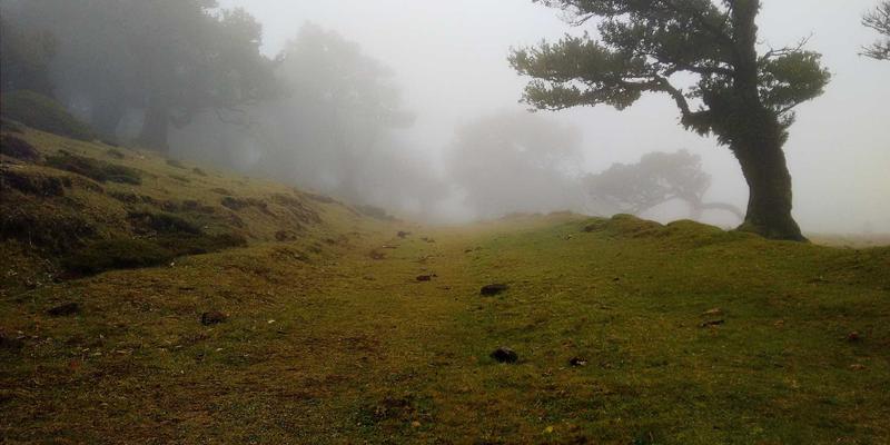 西安农产品批发市场全攻略：本地菜农如何打通安国蔬菜等销售渠道