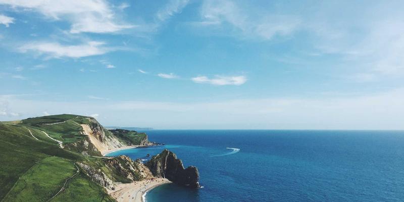 西安农产品批发市场动态：菠菜、油麦菜、上海青价格波动深度解读