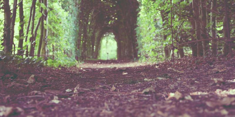 西安冬季反季节蔬菜批发货源探秘：甘肃、四川等外省供应渠道深度解析