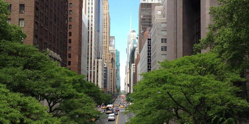 西安冬季蔬菜批发货源大揭秘：安国蔬菜与周边省份如何保障供应