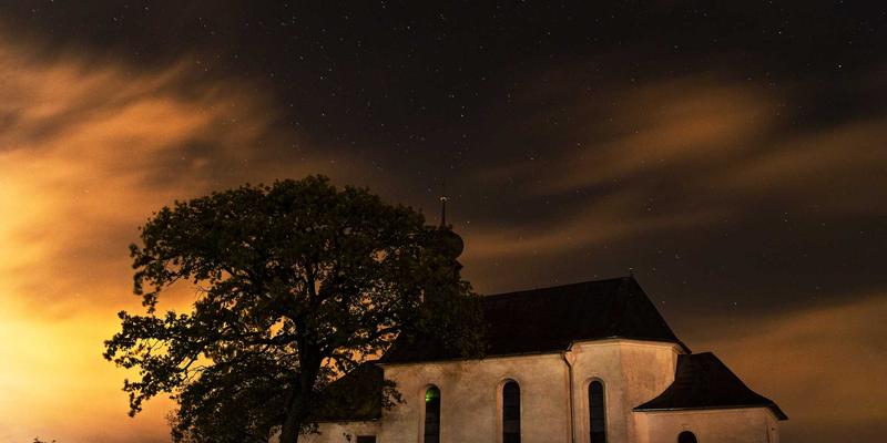 西安周边县域特色蔬菜种植与高效配送模式解析：以高陵、阎良为例