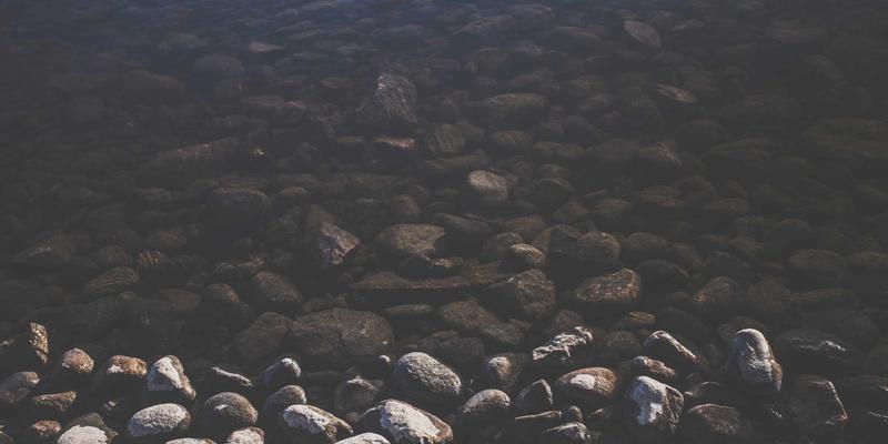 西安清真餐饮蔬菜供应专项链条解析：从安国蔬菜批发到认证配送的全流程