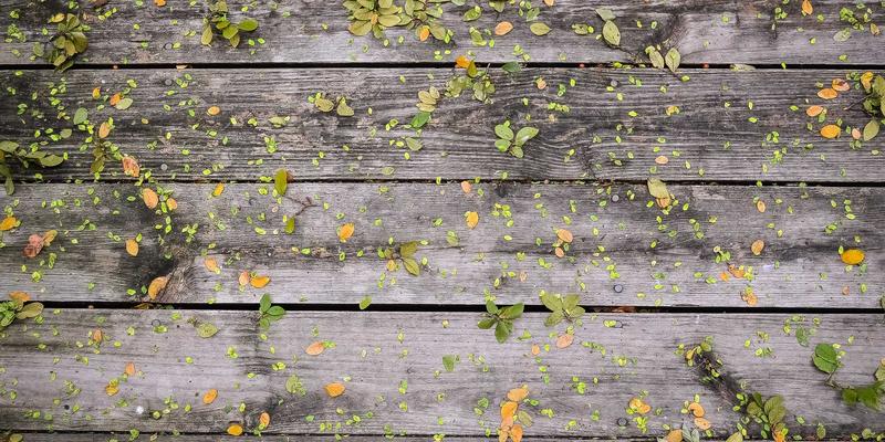 西安社区团购如何对接一级蔬菜批发商？打通新鲜蔬菜配送的三大关键路径