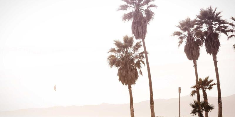 西安社区团购蔬菜供应链解析：从安国蔬菜批发到居民餐桌的最后一公里