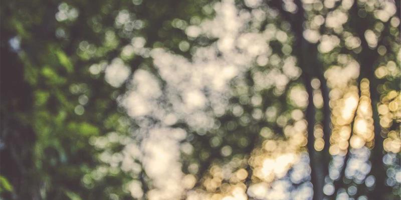 西安蔬菜批发73：探秘城市农产品供应链与现代化配送体系