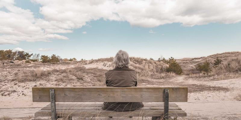 西安蔬菜批发91：连接田间与餐桌的高效农产品流通新模式