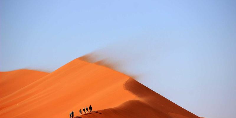 西安蔬菜批发99：连接田间与餐桌的新鲜纽带，打造高效农产品供应链