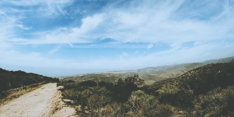 西安蔬菜批发与高效配送指南：连接田间与餐桌的现代供应链