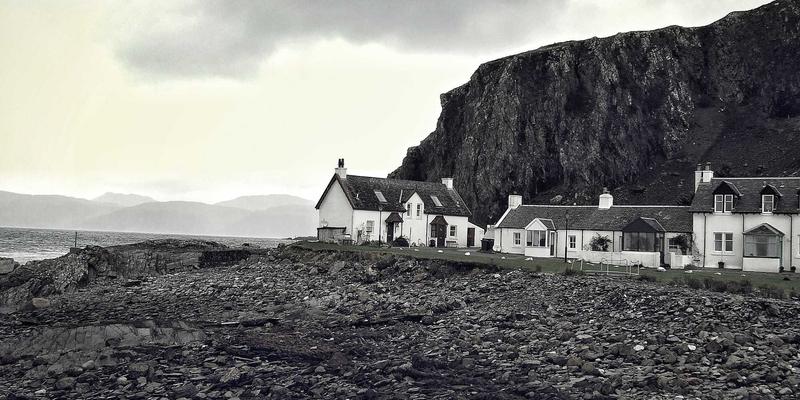 西安蔬菜批发入门指南：从安国源头到高效配送的全链路解析