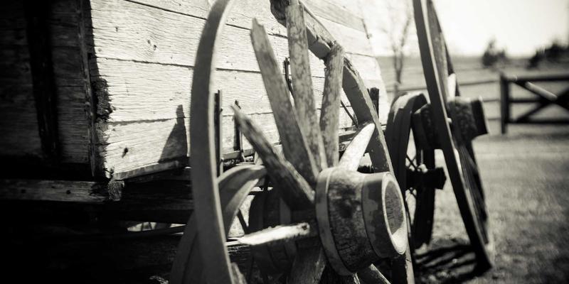 西安蔬菜批发全攻略：从产地到餐桌的采购智慧