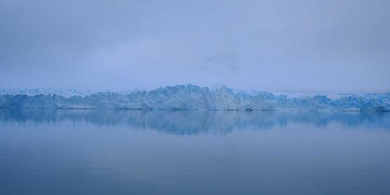 西安蔬菜批发市场价格为何波动剧烈？深度解析三大核心原因与安国蔬菜配送影响