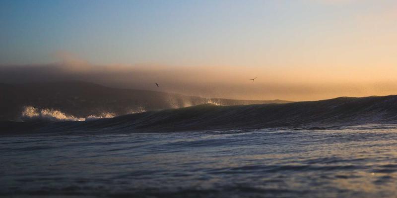 西安蔬菜批发市场全解析：从安国蔬菜到新鲜配送的一站式指南