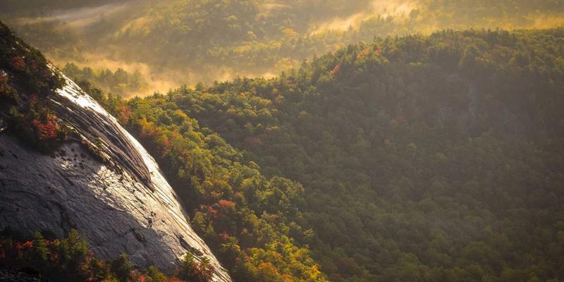 西安蔬菜批发市场全解析：城市菜篮子的流通枢纽与产业脉搏