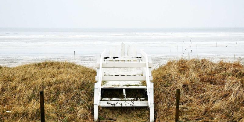 西安蔬菜批发市场全解析：连接农田与餐桌的民生枢纽