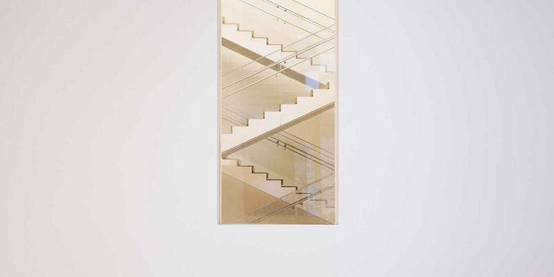 西安蔬菜批发市场全解析：连接安国基地与西北餐桌的枢纽