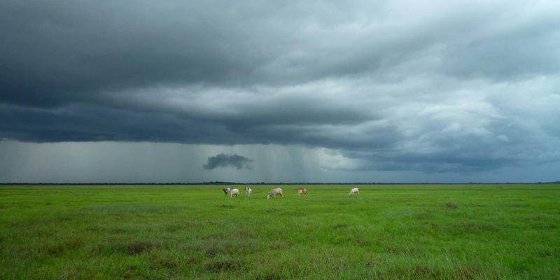 西安蔬菜批发市场“单品大王”的经营智慧：土豆、洋葱、大白菜的规模化配送之道