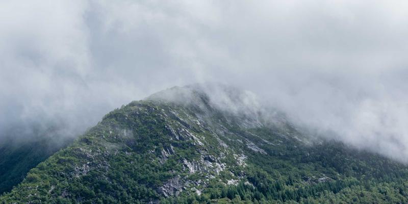 西安蔬菜批发市场变革之路：从安国模式看农产品配送新生态