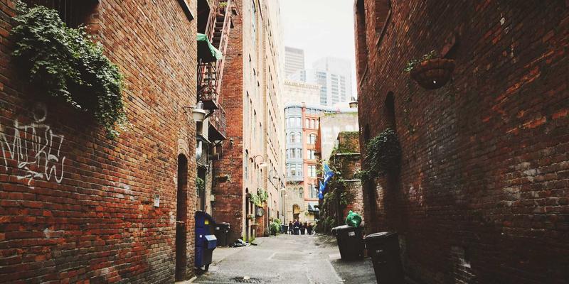 西安蔬菜批发市场废弃物处理难题：每日数百吨烂菜叶的去向与环保压力