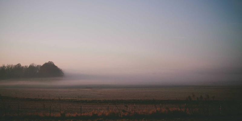 西安蔬菜批发市场搬迁史：从胡家庙到雨润，看城市发展与新鲜蔬菜配送格局变迁