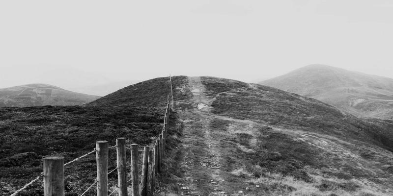 西安蔬菜批发市场新格局：安国蔬菜供应链与现代化配送体系解析