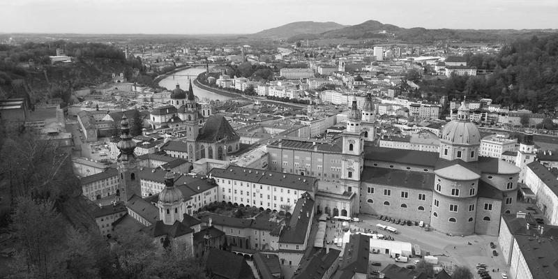 西安蔬菜批发市场早市与晚市价格差异全解析：精准把握采购时机，优化安国蔬菜配送成本