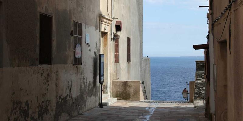 西安蔬菜批发市场深度解析：连接安国基地与西北餐桌的农产品枢纽