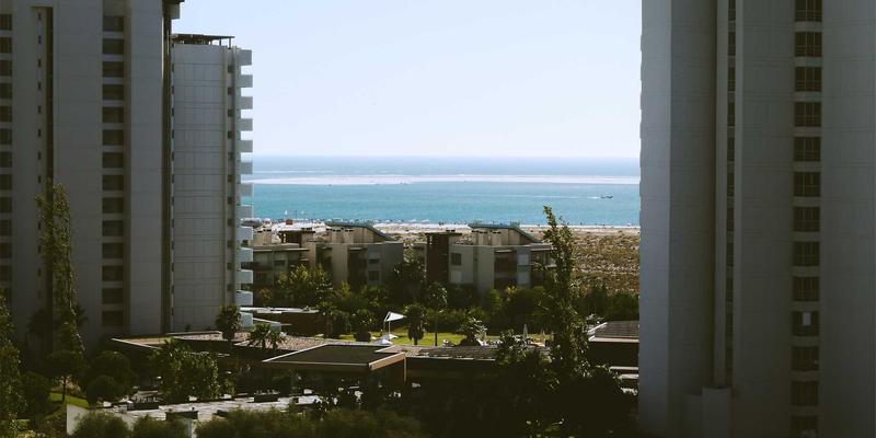 西安蔬菜批发市场深度解析：连接安国基地，保障城市农产品供应