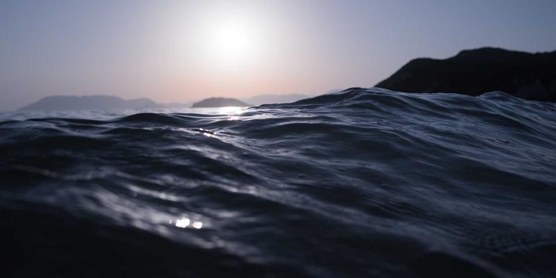 西安蔬菜批发市场解析：连接安国基地与西北餐桌的农产品枢纽