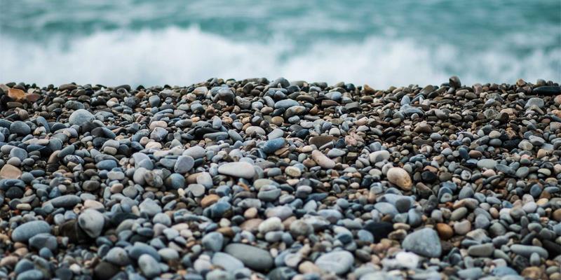 西安蔬菜批发新格局：安国蔬菜如何引领新鲜配送与农产品流通变革