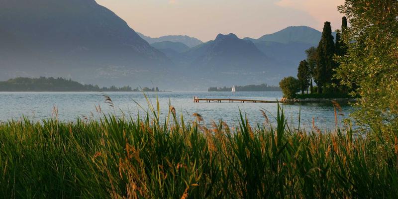 西安蔬菜批发新趋势：产地直供、智慧升级与安国蔬菜的西北之路